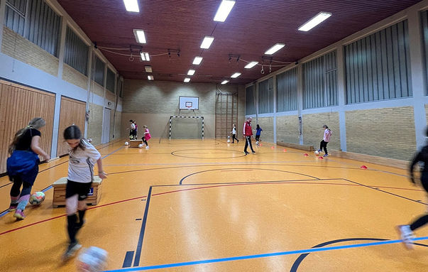 „Gemeinsam stark!“  Unterstützung der E-Jugend-Mädchenfußballmannschaft des TSV08 Maden e.V. 